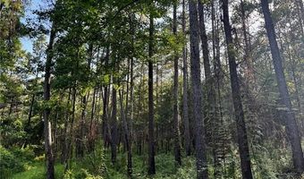 Parcel 3 WARD LINE Road lot Par 3, Bogalusa, LA 70427