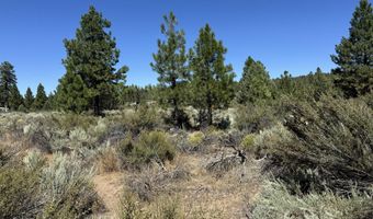 Bufflehead Drive 18, Bonanza, OR 97623