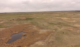 113 Th St, Barnard, SD 57426