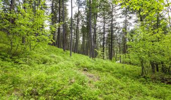 616 Ranch Rd, Bigfork, MT 59911