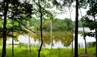 S Forest Lake, Alger, MI 48610