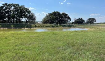 3688 N Fm 1655, Alvord, TX 76225