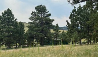 Lot 39 Whymans Black Lake Estates, Angel Fire, NM 87710