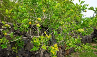 73-4114 IHUPANI Pl, Kailua Kona, HI 96740