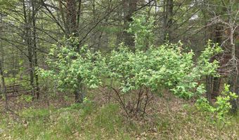 S Badger Lane lot 39, Arkdale, WI 54613