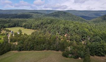 ALUM SPRINGS ROAD, Basye, VA 22810