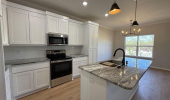 503 Madeleine Cir, Austin, AR 72007