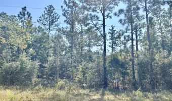 Monogahela Ave, Alford, FL 32420