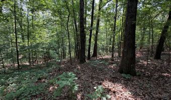 0 County Road 217, Blue Springs, MS 38828