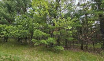 S Badger Lane lot 38, Arkdale, WI 54613