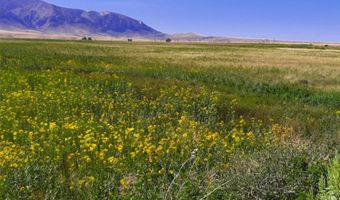 nhn Stagecoach Spur W unit 935-6 935-6, Belfry, MT 59008