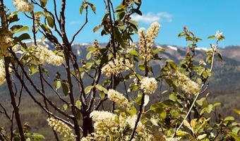 MARTEN Place, Alpine, WY 83128