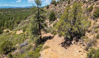 937 Hillcrest Rd, Bayfield, CO 81122