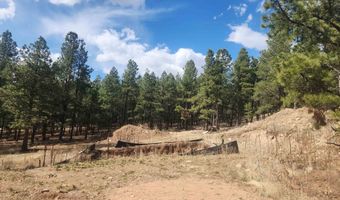 Alta lot 80, Angel Fire, NM 87710