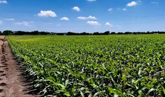 9775 County Road 505, Alvarado, TX 76009