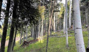 Lot 1283 Via del Rey, Angel Fire, NM 87710