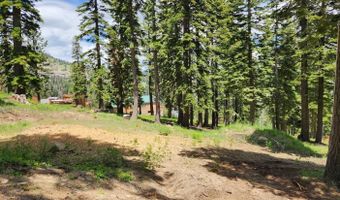 332 Snowshoe Rd, Bear Valley, CA 95223