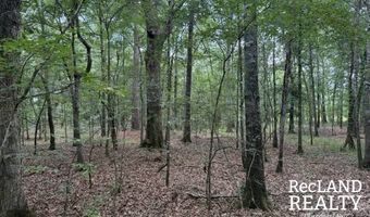 TBD-0 Yeldell Rd, Bastrop, LA 71220