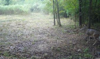561 Church Rd, Batesburg, SC 29006