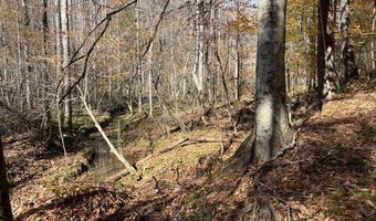523 Honey Creek Loop Rd, Allardt, TN 38504