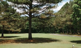 1450 CR 704, Blue Mountain, MS 38610