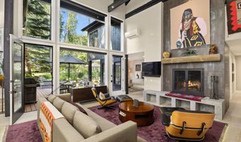 1145 Black Birch Dr, Aspen, CO 81611