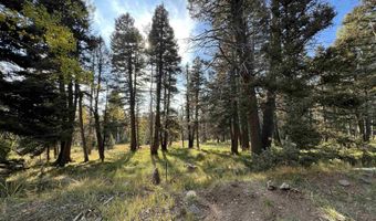 Lot 1319 Pleasant Valley Overlook, Angel Fire, NM 87710