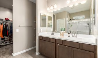 2539 S 242ND Ln, Buckeye, AZ 85326