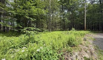 Dorshimer Ave, Blakeslee, PA 18610