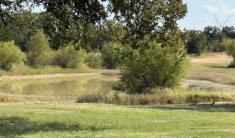 330 Rolling Ranch Blvd, Alvord, TX 76225