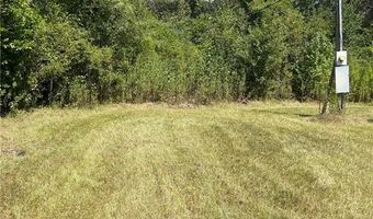 12539 YOUNG Ln, Amite, LA 70422