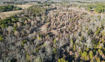 412110 E 1900 Rd, Antlers, OK 74523