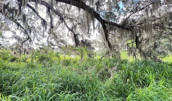 ASH STREET, Arcadia, FL 34266