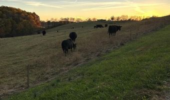 25568 Calima Dr, Abingdon, VA 24210