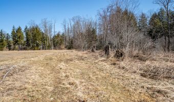 7985 ROCK LODGE Rd, Accident, MD 21520