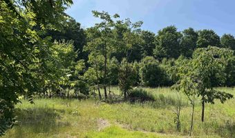 7931 NW Dundas Rd, Alden, MI 49612