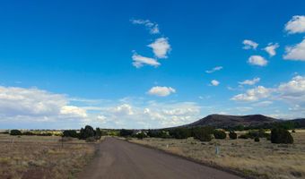 1 County Road 5088, Concho, AZ 85924