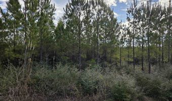NW Church Road, Altha, FL 32421