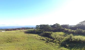 KAIWIKI HOMESTEAD RD, Hakalau, HI 96710
