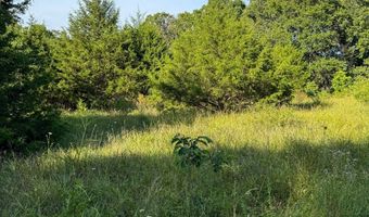 Co Rd 539, Ava, MO 65629