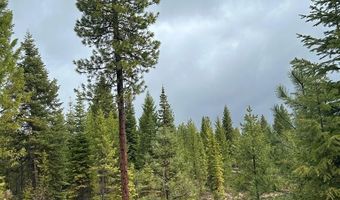 27 Sawtooth Loop Lot 23, Cascade, ID 83611