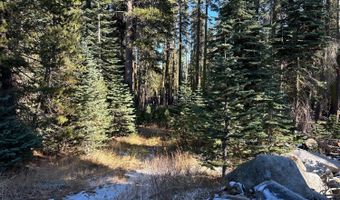 550 Cabbage Patch Log Rd, South Lake Tahoe, CA 95223
