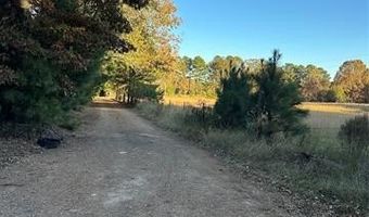 421041 E 1945 Ln, Antlers, OK 74523