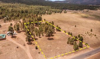 159 Correctional Center Rd, Alpine, AZ 85920