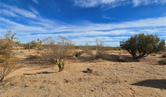 19688 S Diamondback Rd, Yucca, AZ 86438