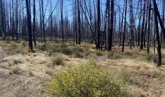 0 Bull Pine Rd 4, Bly, OR 97622
