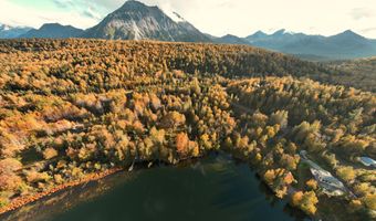 17261 N Rock Rose Ln, Chickaloon, AK 99674
