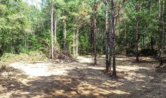 1555 Atbd CR 57 - Brooks Rd, Water Valley, MS 38965