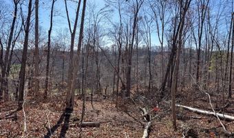 0 W Captina Highway Rd, Alledonia, OH 43902