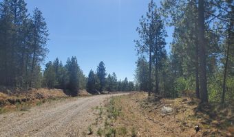 Nka Sheep Springs 10 acres, Athol, ID 83801